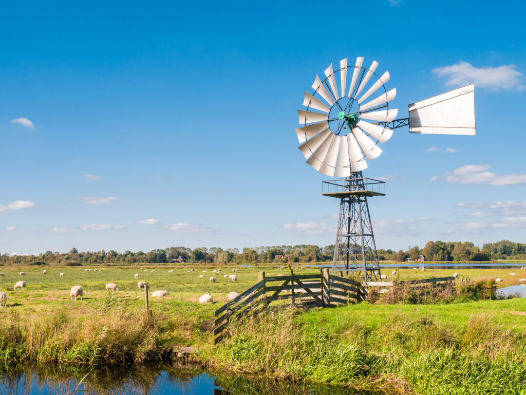 Blick vom Wachturm Romsicht im Jan Durkspolder, Nationalpark De Alde Feanen.