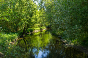 Wandeling langs de ruïne van Burg Wachtendonk aan de Niers.