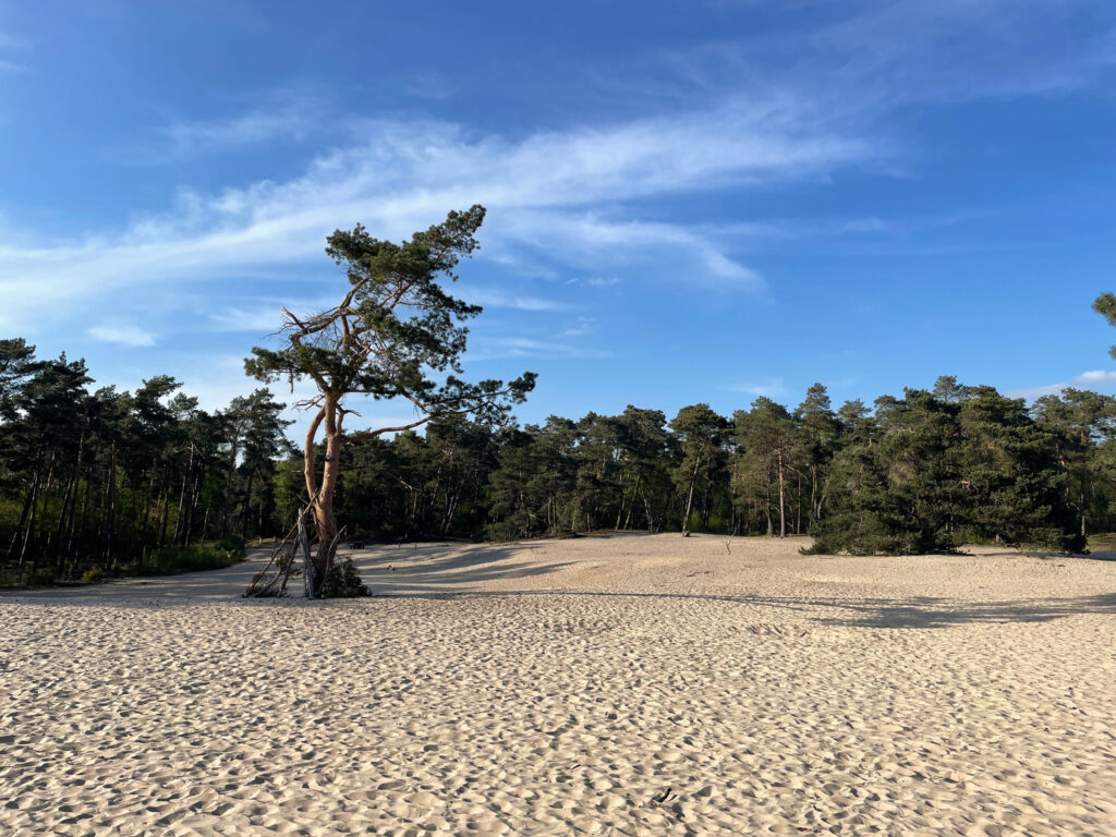 Packrafting sur la Regge avec des enfants, eau calme et berges verdoyantes.