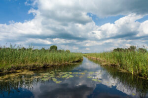 Packraften op de rustige waterwegen van Nationaal Park Weerribben-Wieden.