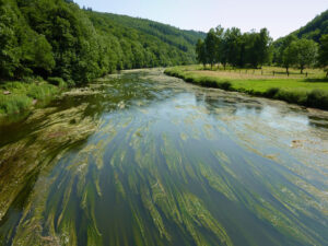 Packrafters maken hun uitrusting klaar aan de oever van La Semoy bij het dorpje Naux