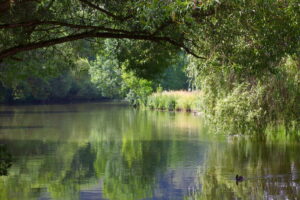 Stevige klim naar de ruïne van Burg Arnsberg met uitzicht over het Altmühltal.